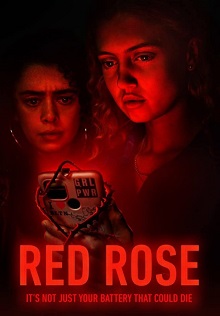 Красная роза (2023)